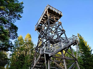 På Bergåsen i Borgsjö finns det ett gammalt brandtorn med vacker utsikt över Borgsjön